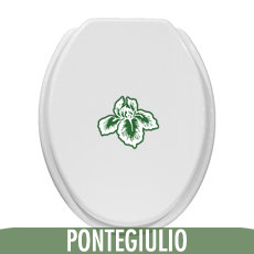 Pour wc PONTE GIULIO
