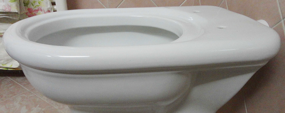 The old sanitary ware models with step and their toilet seat covers with shaped bumpers