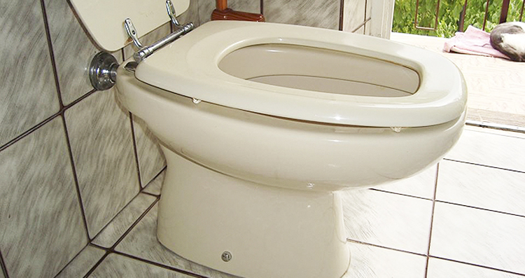 Replacing a large toilet seat 