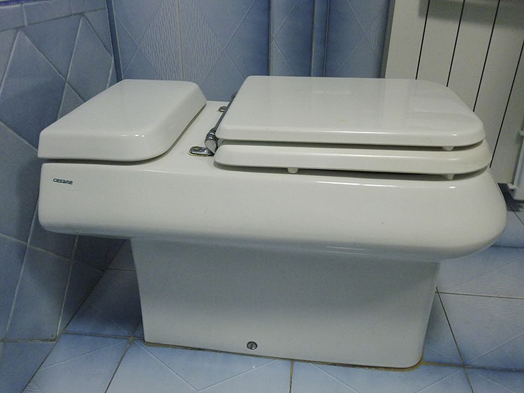 🚽 Sièges de toilettes aux formes bizarres et aux dimensions spéciales -  Dettaglio Notizia 